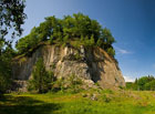 Stanoviště sovy výra velkého (Bubo bubo) na Borečském vrchu.