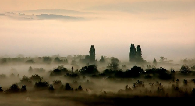 Mlhavé ráno v Českém středohoří
