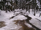 Údolí Doubravy v zimě.