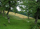 Menší travnaté hřiště u chaty Labská.