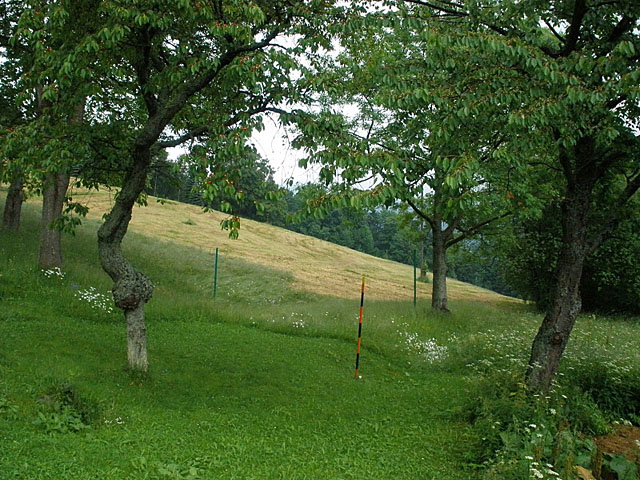 Menší travnaté hřiště u chaty Labská