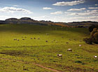 Pastviny v přírodním parku Chřiby.