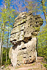 Osamocený, cca 22 m vysoký pískovcový skalní blok v bukovém lese přírodní památky Kozel.

