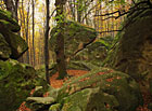 Skupina skal (Jehla, Tank, Hlava, Druhá věž, …) v bukovém lese na nevýrazné rozsoše hlavního chřibského hřebene. Oblíbená horolezecká lokalita.

