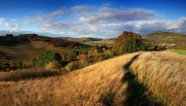 Podzimní krajina u obce Bukovany nad Bohuslavicemi, Chřiby