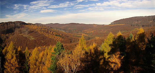 Pohled na podzimní chřibské kopce z rezervace Holý kopec