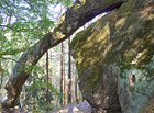 Jedna z největších skalních bran Českého ráje. Je skrytá v lesích Příhrazských skal a nevede k ní žádná turistická stezka.

