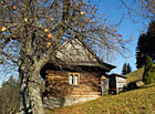 Přírodní skanzen s jedinečnou expozicí městské a vesnické valašské lidové architektury z první půlky 19. století. Pravidelně se zde konají různé vzdělávací a kulturní programy, folklórní pořady, výstavy, přehlídky a festivaly.

