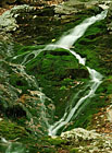 Přírodní rezervace a prameniště řeky Úpy a Bílého Labe.

