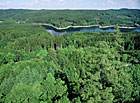 Vodní nádrž Landštejn v přírodním parku Česká Kanada.