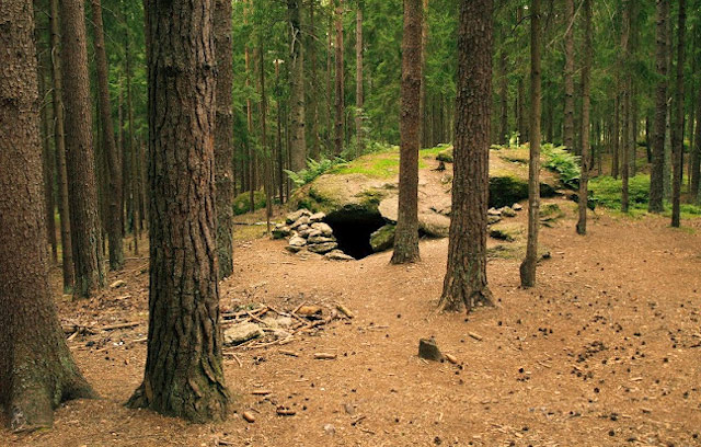 Graselova sluj | přírodní park Česká Kanada