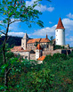 Ve své době jedna z nejvelkolepějších panovnických rezidencí střední Evropy; dnes patří mezi nejstarší, nejvýznamnější a nejlépe poznané královské hrady českého středověku. Hrad dřímá uprostřed lesů v srdci CHKO Křivoklátsko.

