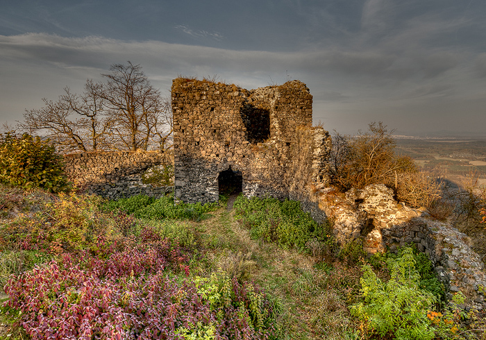 Zřícenina hradu Ronov | Kokořínsko