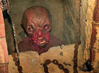 Expozice strašidel v jeskyni Grotta na zámku Lednice.