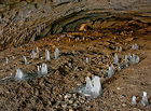 Jeskyně ve tvaru chlebové pece, kterou proslavily pravěké rytiny na kostech zvířat – souboj bizonů a pasoucí se koně. V zimě se v jeskyni tvoří tzv. ledoví trpaslíci. Národní přírodní památka.

