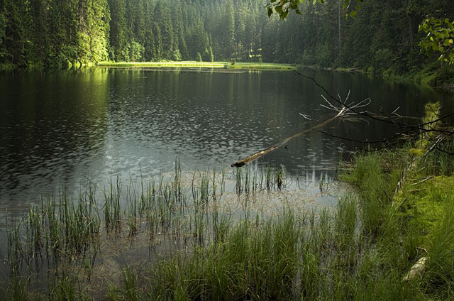 Jezero Laka, Šumava