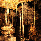 V jeskyni uvidíte největší veřejnosti přístupný podzemní dóm v ČR a pozoruhodný Bambusový lesík (na fotce) ze vzácných hůlkových krápníků. Dóm má vynikající akustiku a občas se v něm pořádají koncerty.

