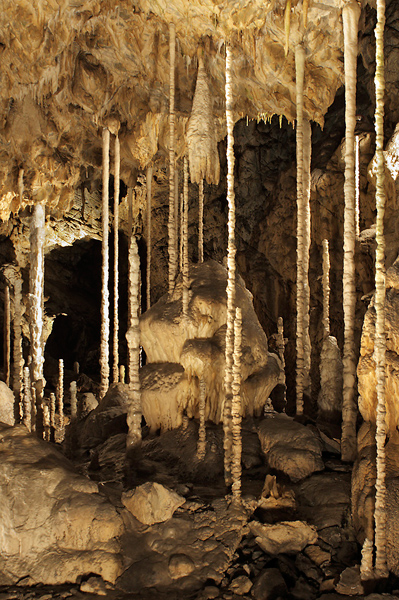 Kateřinská jeskyně | Moravský kras