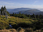 S nadmořskou výškou 1 423 m čtvrtý nejvyšší vrchol Hrubého Jeseníku. Na hoře se tyčí mrazový srub s kruhovým výhledem na celé Jeseníky. Území je součástí národní přírodní rezervace Šerák-Keprník.

