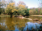 Křivé jezero - rozvodněná řeka Dyje.