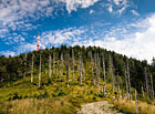 Od roku 2003 je provoz severní sjezdovky na Lysé hoře z důvodu ochrany přírody zrušen. Správa CHKO Beskydy se snaží zalesnit vykácené plochy odolným horským smrkem, který zde v minulosti rostl.

