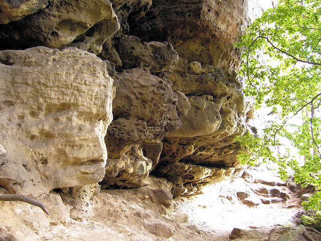 Malá Pravčická brána - skalní stěna