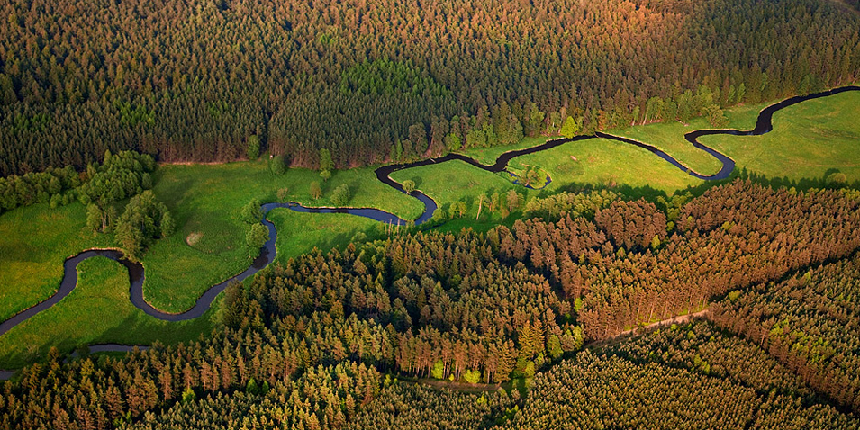 Meandry řeky Ploučnice