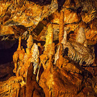 Mladečské jeskyně se považují za nejsevernější sídliště lidí rodu Homo sapiens sapiens (člověk moudrý) v Evropě. Před 31 000 lety jeskyně také údajně sloužila jako rituální pohřebiště kromaňonského člověka.

