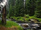 Hlavní pramenný tok šumavské řeky Vydry. Ročně podél něj chodí tisíce turistů z Modravy na Březník. Je dlouhý asi 13 km a pramení ve svahu vrchu Luzný (1210 m n. m.).

