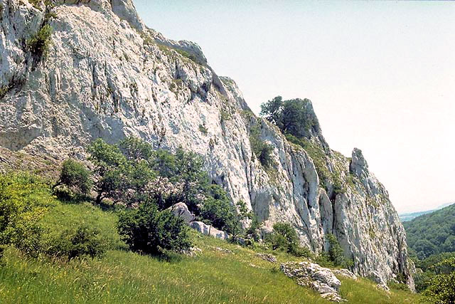 Naučná stezka Děvín - mohutná skalní vápencová stěna