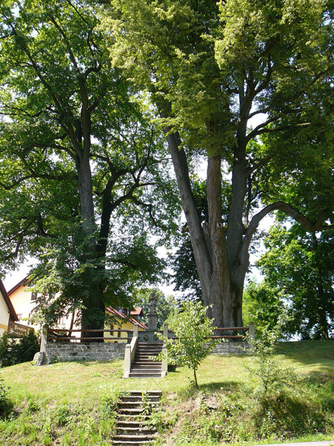 Památník a vzrostlé lípy v Kunvaldu