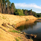 Přírodní památka Osypané břehy – v meandru řeky Moravy.