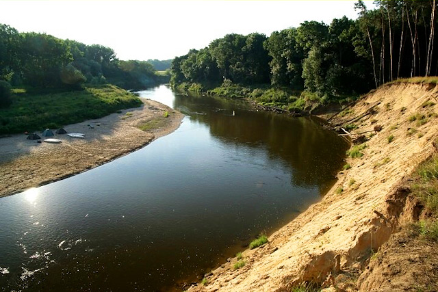 Meandr řeky Moravy v přírodní památce Osypané břehy