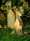 Židovský hřbitov, Mikulov na Moravě.