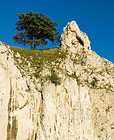 Zřícenina gotického hradu z 13. století, tyčící se na vysoké, ze tří stran nepřístupné vápencové skále při severním okraji hřebene Děvína – nejvyššího vrcholu chráněné krajinné oblasti Pálava.

