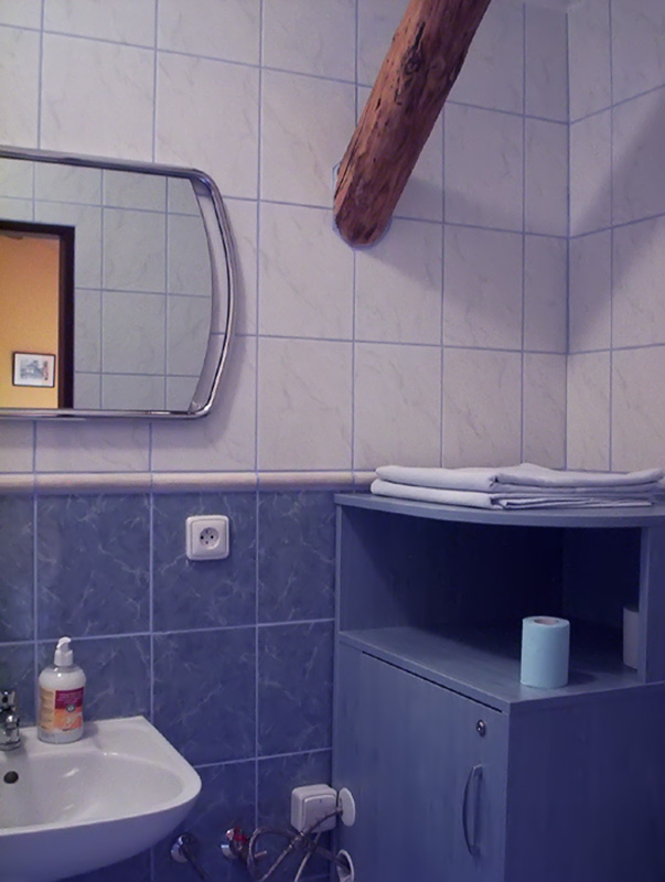 Penzion Freudův sen – koupelna v pokoji | ubytování Příbor