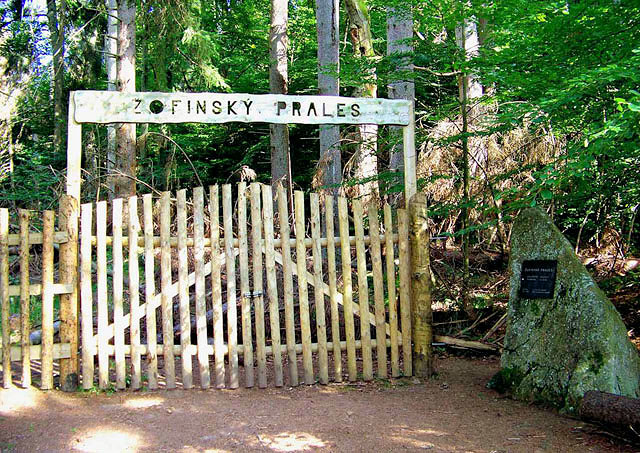 Žofínský prales - vstupní brána