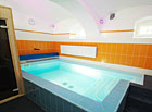 Součástí penzionu Myslivna je vnitřní bazén pro 6 osob. Je vhodně navržen pro plavání kojenců a batolat a lze v něm využít četné vodní atrakce, jako je protiproud, podvodní masáž, dnový hřib, perlička a vodní chrlič.

