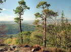 Nádherný pohled na vzdálené souvislé zelené lesní plochy, zleva: Písek, Holý vrch a údolí Litavky.

