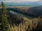 Plešné jezero s odumřelými lesy při kůrovcové kalamitě.