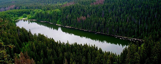 Plešné jezero od Stifterova památníku, Šumava