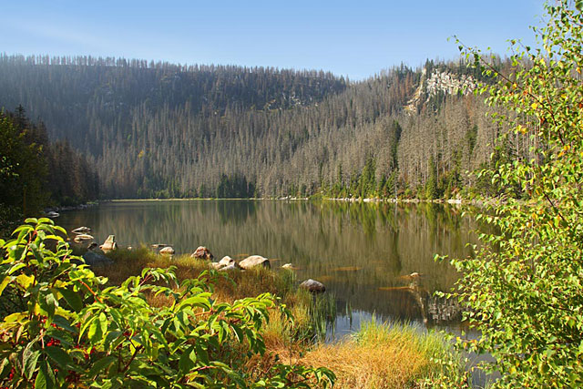 Plešné jezero, Šumava