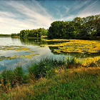 S rozlohou 19,4 ha největší rybník v Praze. Pro své přírodní hodnoty je chráněn jako přírodní památka. Kdysi vyhlášené přírodní koupaliště dnes lidé využívají ke koupání jen sporadicky.

