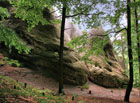 Přírodní památka Bílé kameny je jednou ze zastávek naučné stezky Lužické a Žitavské hory.


