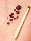 Na Linhorce se nejčastěji vyskytují drobná zrnka granátů s velikostí do 2 mm, nálezy nad 5 mm jsou výjimkou. Největší nalezený pyrop měl velikost "holubího vejce". Kromě pyropů se na lokalitě našly i 3 drobounké diamanty.

