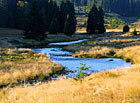 Roklanský potok nad Modravou vytváří jedno z nejkrásnějších údolí na Šumavě.

