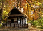 Vodní kaskáda. Průhonický park je jeden z největších přírodně krajinářských parků Evropy a jeden z nejvýznamnějších zámeckých parků v ČR. Vyniká důmyslnými průhledy a mimořádnou krásou barev od jara do podzimu; roste tu 1 600 druhů dřevin.

