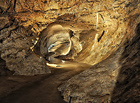 Punkevní jeskyně spadají do nejrozsáhlejšího jeskynního systému v ČR s délkou chodeb přes 30 km – Amatérské jeskyně. Prohlídková trasa vede majestátními dómy, propastí Macocha a končí jedinečnou podzemní plavbou po říčce Punkvě.

