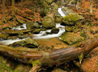 Hluboké skalnaté údolí vymleté říčkou Huntavou, která zde vytváří četné peřeje, kaskády a vodopády (největší Rešovský vodopád měří 10 m); říčku lemuje turistická stezka s dřevěnými můstky a lávkami. Národní přírodní památka.

