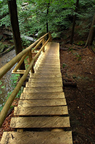 Dřevěné schůdky v rezervaci Rešovské vodopády